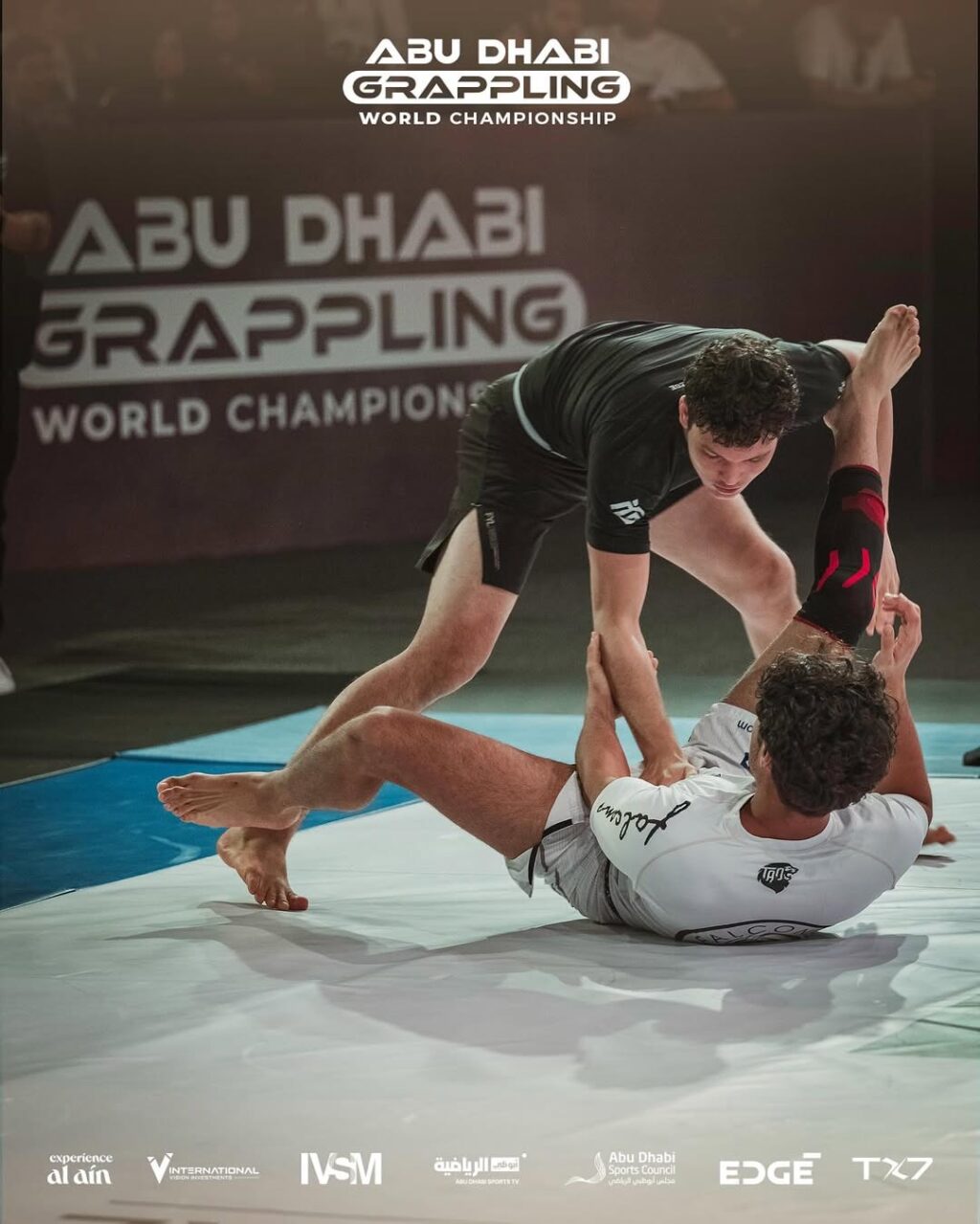 9b2d3a5e-5938-4239-9718-1add228fec4f