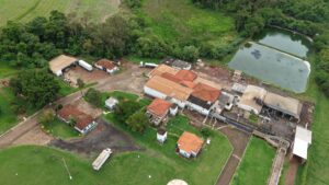 7ef87e1d-2e5a-4bf7-8d8f-4287c9785d93