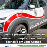 Jovem é preso em flagrante por maus-tratos após atirar contra cachorra em Salto Grande
