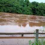 Chuvas elevam nível do Rio Pardo em Santa Cruz do Rio Pardo