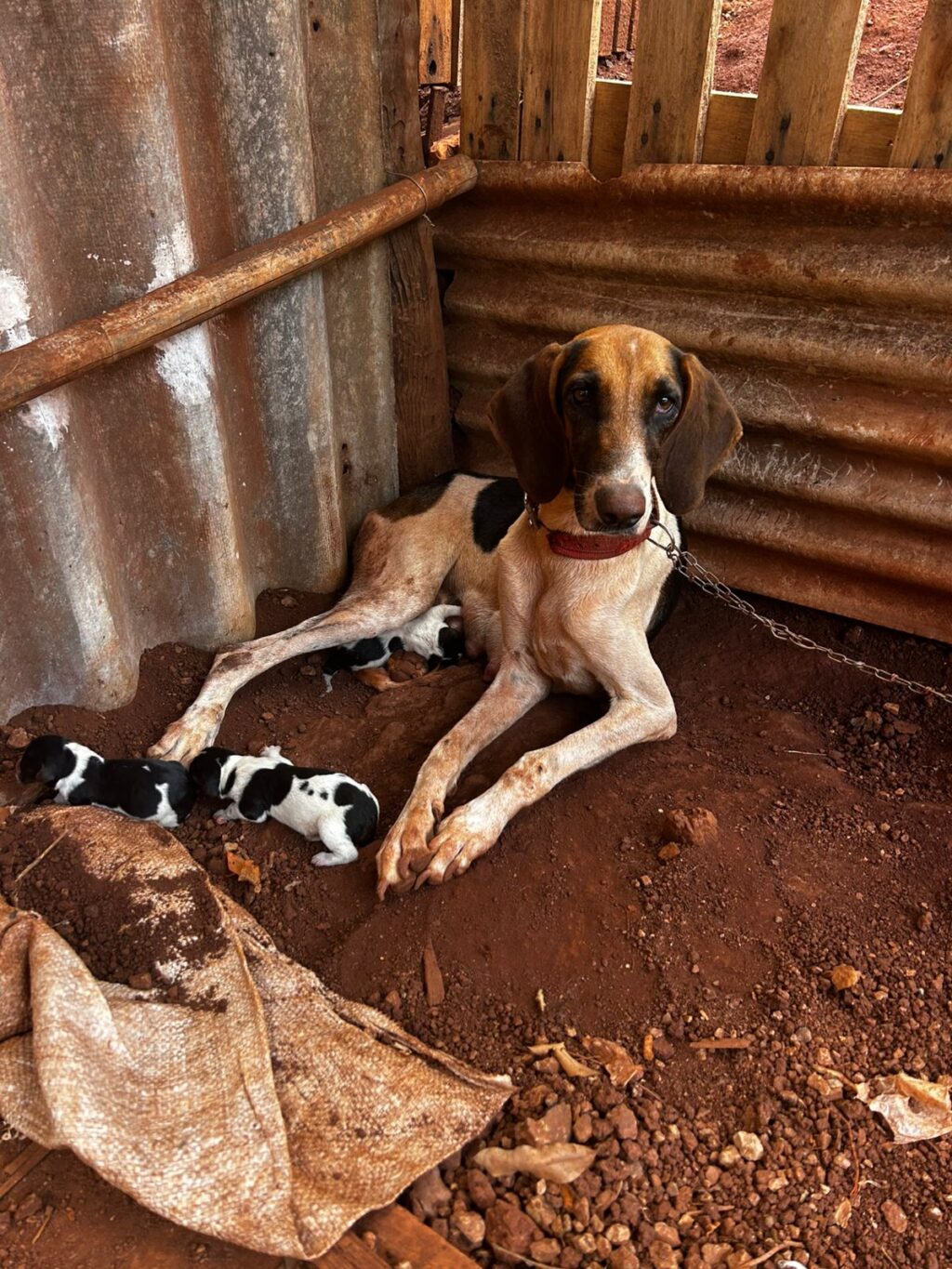 WhatsApp Image 2026-01-16 at 10.23.45