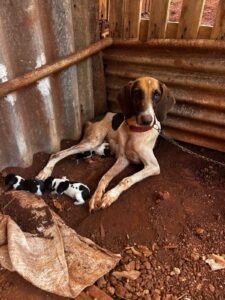 WhatsApp Image 2026-01-16 at 10.23.45