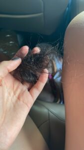 f0dcb0e8-9a82-479d-b5ff-3ea561fb38d6