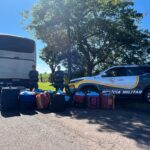 TOR apreende mais de 350 kg de folhas de coca e prende três bolivianos em Ourinhos