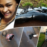 Tragédia na Raposo Tavares em Ourinhos: Mulher morre após cair de moto e ser atropelada por caminhão