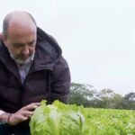Do campo à mesa: Engenharia impulsiona produção no Cinturão Verde Paulista